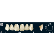 Зубы искусственные фронтальные верхние Ivocryl размер 24 цвет 210 ( 6 шт ) Ivoclar